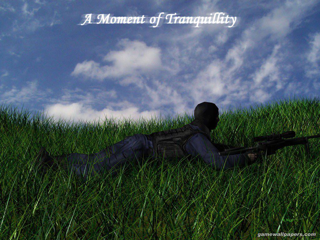 CounterStrike05.jpg