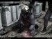 counter-strike.jpg