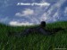 CounterStrike05.jpg